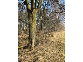 Property photo 10 - REAL ESTATE AUCTION - 30.5+/- ACRES IN 3 TRACTS IN KOSCIUSKO COUNTY, INDIANA